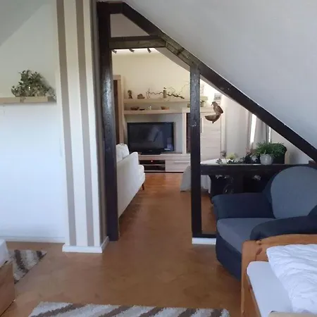 Tatil Evi 